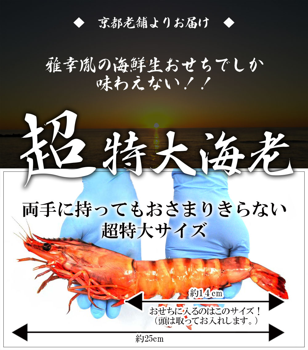 おせち 2027 盛り付け済み 5人前 生おせち【 龍肝鳳舌 / 5人前 】 ※代引き不可※ おせち料理 2027 お節送料無料 お年賀 お歳暮 生おせち 料亭 京都 ギフト osechi 西京焼 海鮮 がこういん おいしい 人気 話題 売れ筋 冷蔵おせち 御節