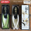 【マラソン限定★エントリーでP10倍&MAX10%OFFクーポン】外山刃物 秀久 お花鋏 緑 マスカット 白 ホワイト 剪定鋏 花剪定 はさみ ハサミ 園芸 カ...