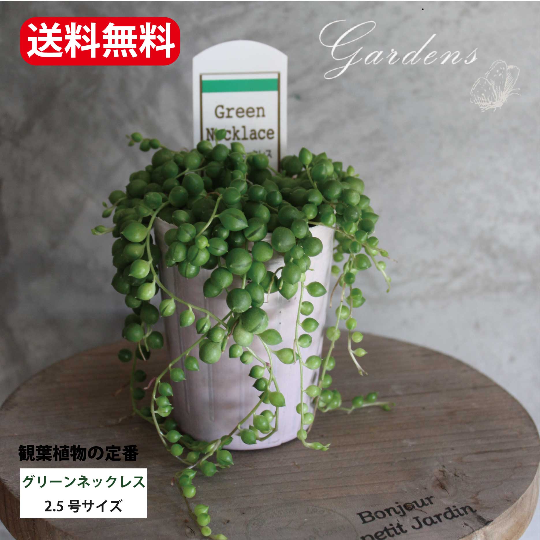 観葉植物