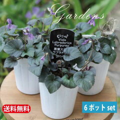 https://thumbnail.image.rakuten.co.jp/@0_gold/gardens-1/photo/kuroba_top2.jpg