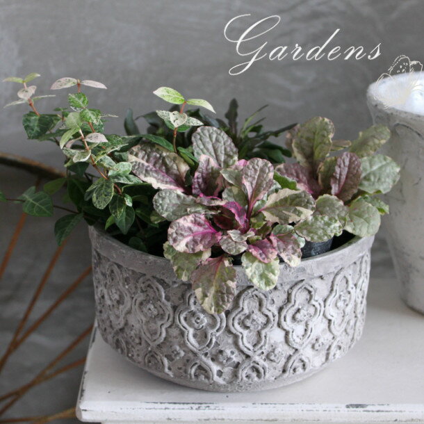 COVENT ペダンクル ローポット L QW-31 コベント ガーデン 鉢 6号 ブロカント シャビー シック アンティーク調 グレー ホワイト 石膏風 底穴あり 寄せ植え ガーデニング用品 ポット・鉢 セメント