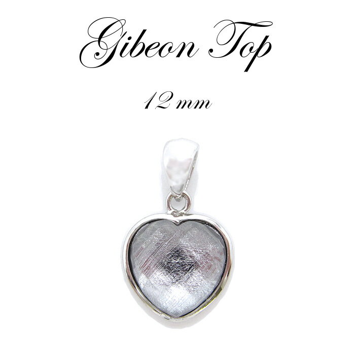 希少価値が高く、ヒーリング効果の高いギベオンのペンダントトップ ハート型です。 ギベオンは、宇宙から飛来した鉄隕石です。 地球外の「宇宙からやってきた」という時点でも、ギベオン隕石の持つパワーはとても強力だと言われています。 宇宙に繋がる力...