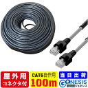 コネクター付 屋外用 cat6 100m GSPOWER PoE対応 アウトドア 業務用 PoE給電 企業用 高耐久 難燃性 耐候性 2重被覆 カテゴリー6 保障 RJ-45 自作用 工事用 ソーラーパネル イーサネット