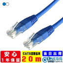 国際基準 LANケーブル cat6 20m GSPOWER 業務用 PoE給電対応 企業様向け 6a相当 青 ストレート ランケーブル RJ-45 サーバー