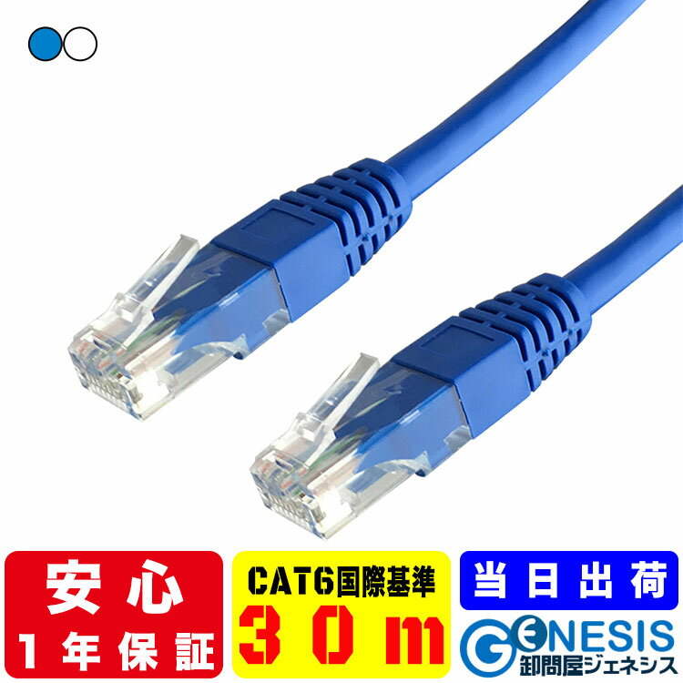 国際基準 LANケーブル cat6 30m GSPOWER 