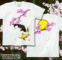 和柄|鯉|Tシャツ|桜