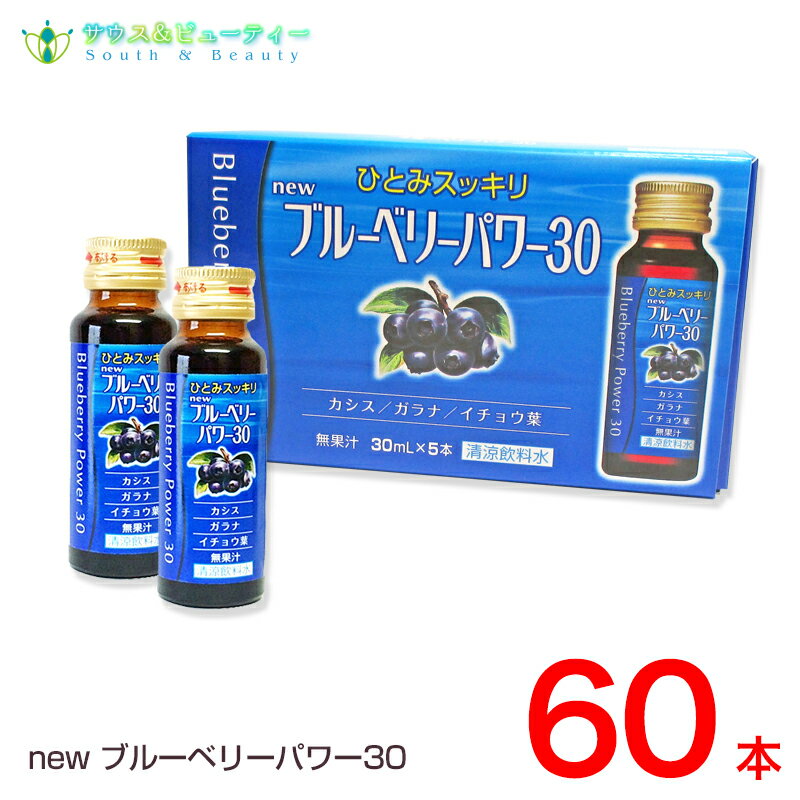 楽天サウス＆ビューティーnewブルーベリーパワー30 内容量 30ml×60本ブルーベリー　アントシアニン　イチョウ葉　イチョウ葉エキス　瞳スッキリ　パソコンワーク