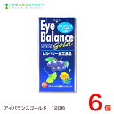 アイバランスゴールド120粒×6本セットブルーベリー アントシアニン イチョウ葉 イチョウ葉エキス 瞳スッキリ パソコンワーク
