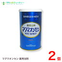 マグマオンセン 600g 2個別府 海地獄日本薬品開発マグマ温泉 海地獄乾燥粉末