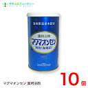 マグマオンセン 600g 10個別府 海地獄日本薬品開発マグマ温泉 海地獄乾燥粉末