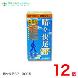 晴々快足SP300粒×12個 コンドロイチン　ヒアルロン酸 MSMコラーゲン グルコサミン β-クリプトキサンチン 赤ショウガエキス 廣貫堂　晴々快足EXが新しくなってリニューアル