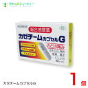 カゼチームカプセルG(10カプセル)【指定第2類医薬品】ネコポス発送です(日時指定はできません)大協薬品工業株式会社※こちらの商品はお一人様1箱限りとなります
