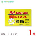 温感シートハップ6枚入【第3類医薬品】ネコポス発送です(日時指定はできません) 湿布 置き薬 配置薬 富山 大協薬品工業