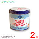 乳酸菌 肝油ドロップ 120粒 2個肝油ドロップ(オレンジ風味)西海製薬