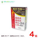 薬用はみがき 薬用 渋ケア 100g ×12本常盤薬品 ノエビアグループ トキワ 1