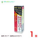 薬用はみがき 薬用 渋ケア 100g 1本常盤薬品 ノエビアグループ トキワ