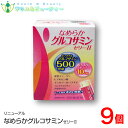 なめらかグルコサミンゼリー タイプ 300g （1包10g×30包)×9個2型コラーゲン配合　N-アセチルグルコサミン コンドロイチン ヒアルロン酸 イミダゾールペプチド アンセリン グルコサミンサプリ HMBカルシウム 健康 節々 廣貫堂