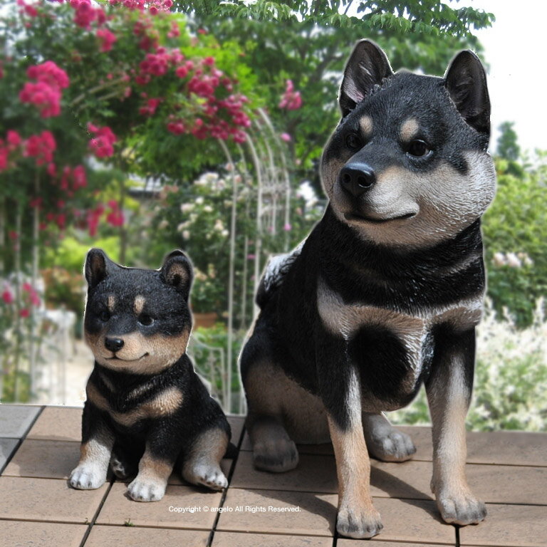 Rakuten クロ柴犬 親子2個組セットお庭や玄関柴犬しばいぬくろしば ガーデニング ガーデン 雑貨 オーナメント おしゃれ 置物 ガーデニング雑貨天使アンジェロ Www Arcastudio It