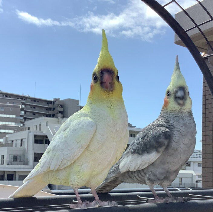 ガラスの置物　オウム　鳥 ガラスの置物 オブジェ 小鳥 鳥モチーフ 大理石 ガラス製 ガラス