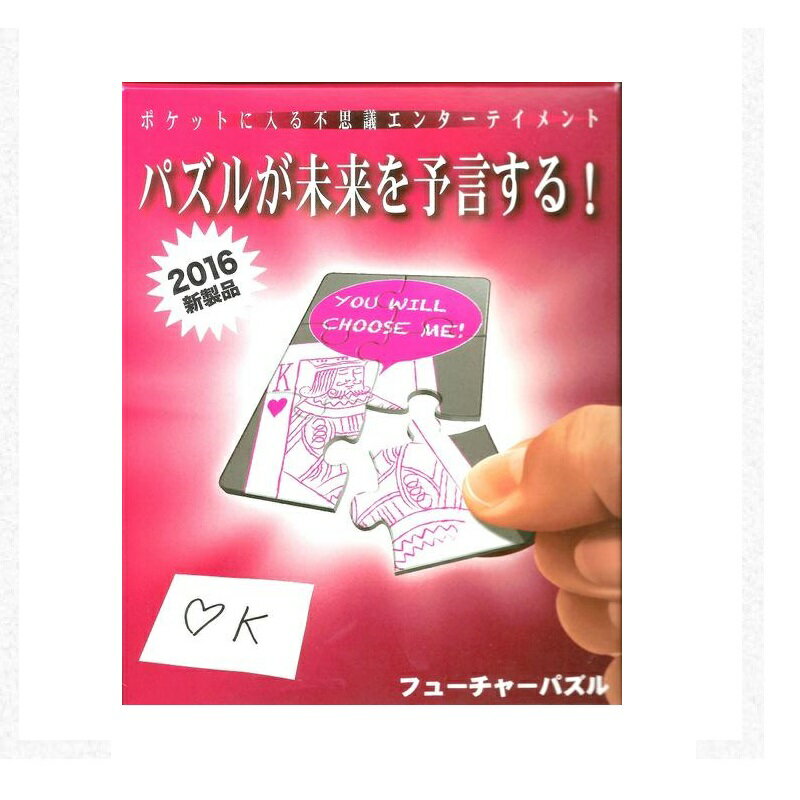 手品 マジック テンヨー フューチャーパズル 製造終了品