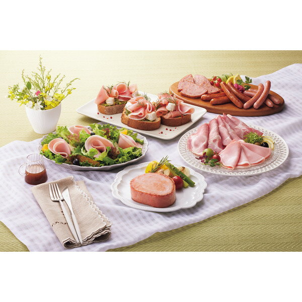 伊藤ハム 伝承献呈ギフト［TO-42V](4)