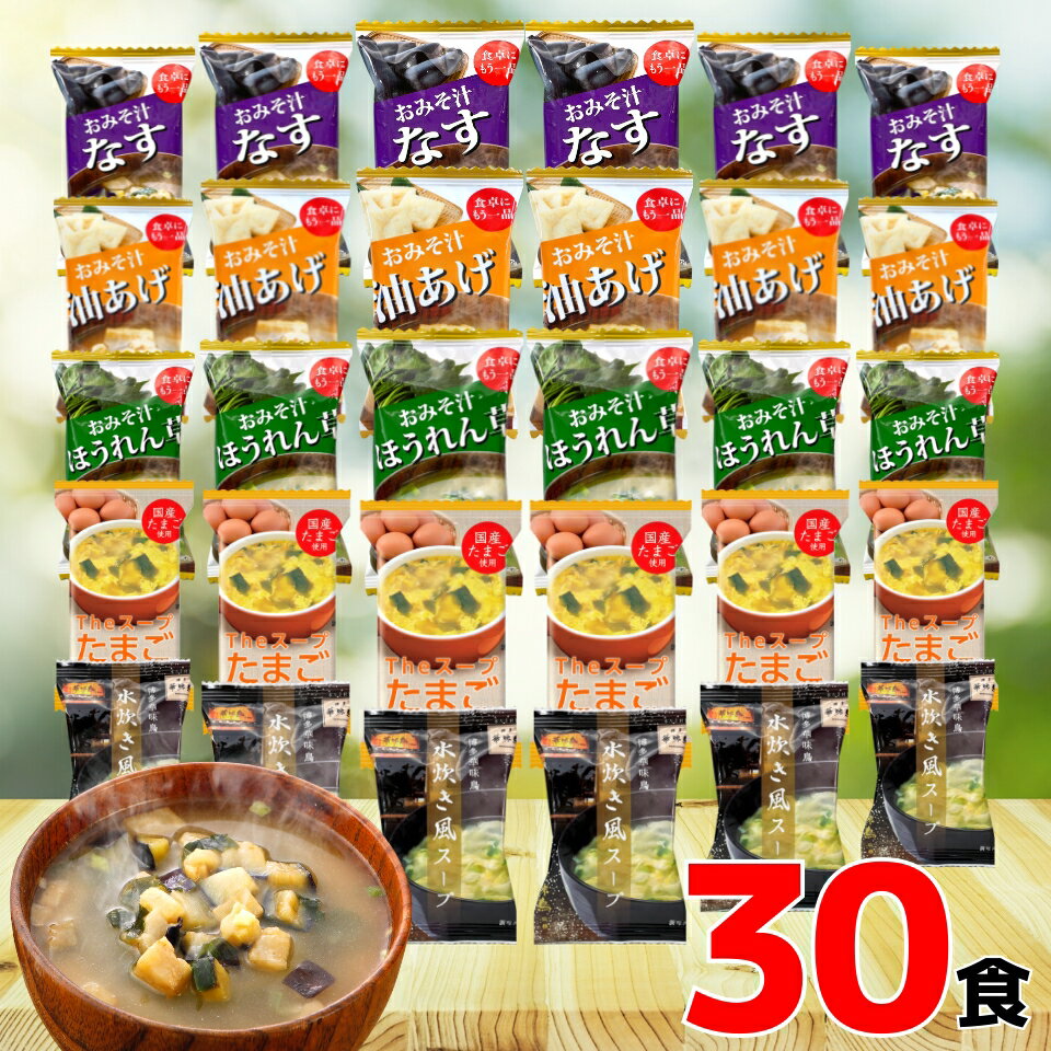 フリーズドライ 味噌汁 スープ 30食 送料無料 【ご自宅向け簡易梱包】 みそ汁 おみそ汁インスタント 即席味噌汁 たまごスープ 卵スープ 人気 おすすめ グルメ食品 業務用 まとめ買い 大量 お徳用 アソート なす ほうれん草