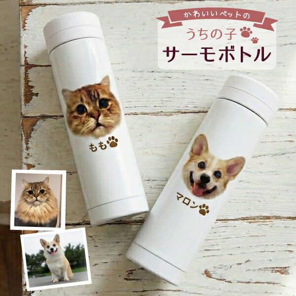 乐天商城 - うちの子 ペット用 ペット 写真オリジナルグッズ 犬 猫 愛犬 愛猫 水筒 ステンレスボトル 真空断熱 誕生日 記念日 メモリアル 母の日 父の日 プレゼント ギフト
