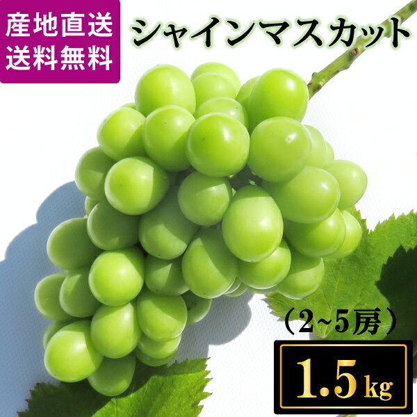 商品名/産地：山梨県産ぶどう（シャインマスカット） 内容量：1.5キロ（2〜5房） 旬の季節がやってきました！ 人気沸騰中の極上シャインマスカット！ 高い糖度で、とっても甘く種なしで皮ごと食べられます。 何よりもパリッとした食感たまらない！ ・シャインマスカットとは 「マスカット・オブ・アレキサンドリア」「スチューベン」「カッタクルガン」「甲斐路」の4品種の葡萄を交配育成した比較的新しい品種の葡萄です。 ・シャインマスカットの特徴 大粒で肉厚、弾力性があり特徴的な触感があります。また高い糖度とさわやかな香りで種もなく皮ごと食べられます ・山梨県産 くだもの王国山梨は、ぶどうの収穫量日本一であります。南アルプス山脈を背に気候の寒暖差や水はけの良い土壌、果樹栽培には適している地域となります ＜商品の規格・重量などについて＞ 当商品は青果物であり、味わいや大きさ、重みに個体差があり重量が多少前後することや若干のバラつきがでることもございます、また稀に種が入っていることもございますのでご了承くださいませ。 ＜保存方法について＞ 商品到着後、冷蔵庫で保存し、なるべくお早めにお召し上がりください。