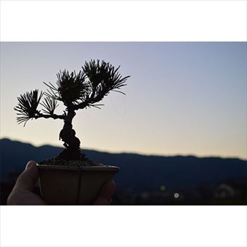 ���ھƤ����åס�2��ƫ��ۤȸ��վ���ƫ��ȭ����ۤ������ʥӥ����åפǤ��������ӡ��롪��Ź�Υ������ᾦ�ʡ��ץ쥼��Ȥ˺�Ŭ�Ǥ��衪