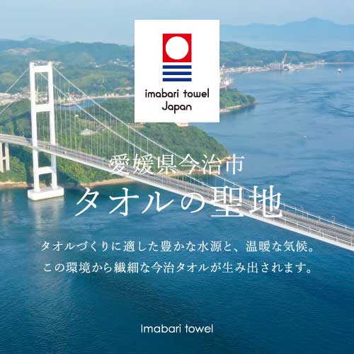 今治タオル ギフト 今治クラシック ふわもち甘撚り ウォッシュタオル2枚セット ICFM-157 内祝い ギフト 出産祝い お返し 結婚祝い 退職祝い 香典返し 法要引出物 快気祝い 引越し挨拶 3