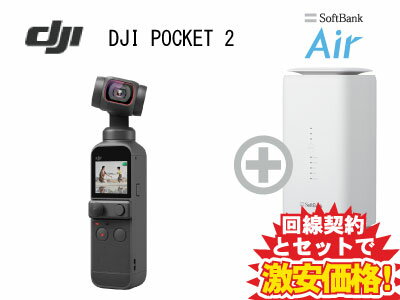 DJIのビデオカメラ DJI