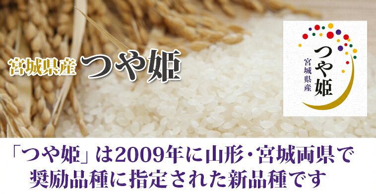 サンプル画像2