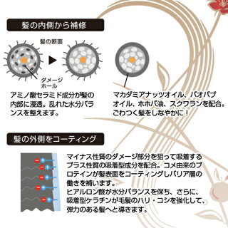 Give&Giveゆうぜんダメージケアトリートメント
