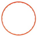 【ポイント3倍以上+100円offクーポン】カラーフラフープ 赤 エクササイズ 運動 ダイエット おすすめ 人気 使いやすい 便利 高評価 レビュー多数