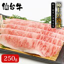 牛仁 超熟成 仙台牛サーロイン スライス 250g 牛肉 しゃぶしゃぶ ギフト 年末年始 お歳暮 黒毛和牛 国産 a5 高級 食べ比べ 贈答用 冷凍 ドライエイジング プレゼント 極上の熟成 和牛 プロトン凍結【冷凍】