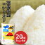 【令和5年産】20kg コシヒカリ 福島県産 (5kg×4) 白米 こしひかり お米 米 ごはん 工場直送【常温】