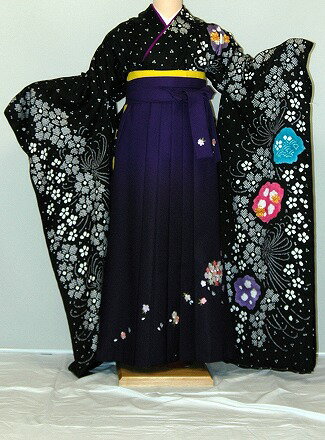 楽天かしいしょうプラザ大きい留袖振袖【レンタル】振袖、袴（刺繍はかま）レンタル【人気商品】【HF127】冬春キャンペーン