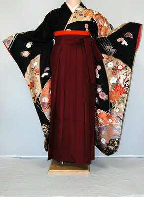 【レンタル】振袖、袴(はかま)レンタル【黒・茶・グレー系】【HF738】標準/L寸/7号/9号/11号/13号/冬春キャンペーン 【レンタル】振袖、袴(はかま)レンタル【黒・茶・グレー系】【HF738】標準/L寸/7号/9号/11号/13号/冬春キャンペーン