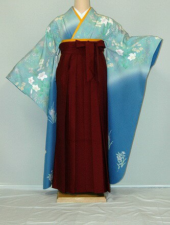 Rakuten - 【レンタル】振袖、袴（はかま）レンタル【青・青紫・緑系】【HF751】標準/L寸/7号/9号/11号/13号/冬春キャンペーン