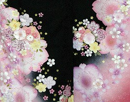 【レンタル】振袖レンタル【黒・茶・グレー系】【RS755】標準/L寸/7号/9号/11号/13号 冬春キャンペーン