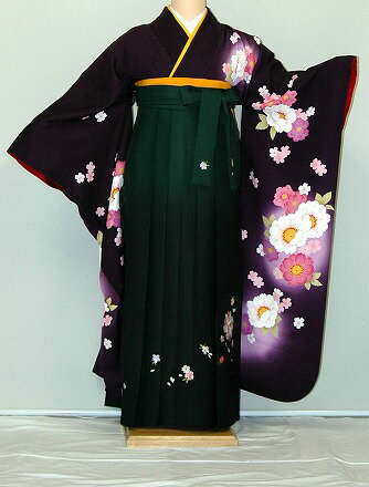 【レンタル】振袖、袴(刺繍はかま)レンタル【青・青紫・緑系】【HF781】標準/L寸/7号/9号/11号/13号/冬春キャンペーン