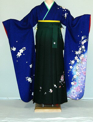 楽天かしいしょうプラザ大きい留袖振袖【レンタル】振袖、袴（刺繍はかま）レンタル【人気商品】【HF784】冬春キャンペーン