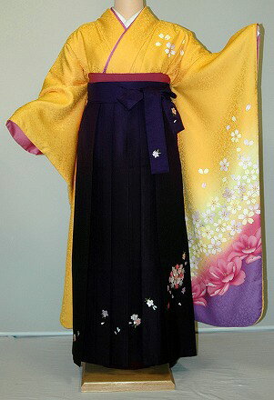 Rakuten - 【レンタル】振袖、袴（刺繍はかま）レンタル【黄色・淡色系】【HF790】標準/L寸/7号/9号/11号/13号/冬春キャンペーン