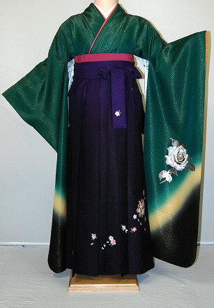 Rakuten - 【レンタル】振袖、袴（刺繍はかま）レンタル【青・青紫・緑系】【HF793】標準/L寸/7号/9号/11号/13号/冬春キャンペーン