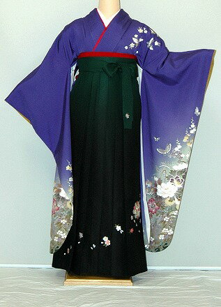 Rakuten - 【レンタル】振袖、袴（刺繍はかま）レンタル【青・青紫・緑系】【HF316】標準/小柄/S寸/M寸/7号/9号/11号/13号/冬春キャンペーン