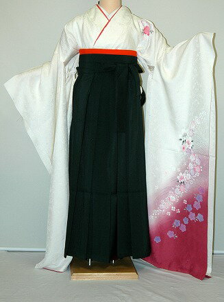 【レンタル】振袖、袴（はかま）レンタル【人気商品】【HF85】冬春キャンペーン