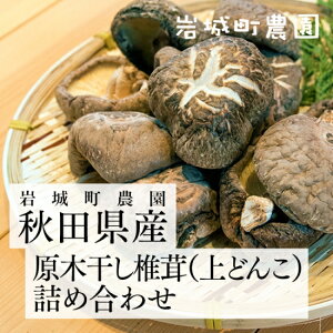 原木干し椎茸(上どんこ)詰め合わせ H-50 岩城町農園|秋田県由利本荘市 ゴムクロワン (送料込み)