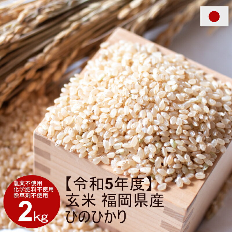 【楽天市場ランキング1位獲得】【新米】玄米 2kg 農薬不使