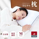 ひんやり 枕 アウトラスト ハニカム パイプ Mサイズ 43×63cm 日本製 