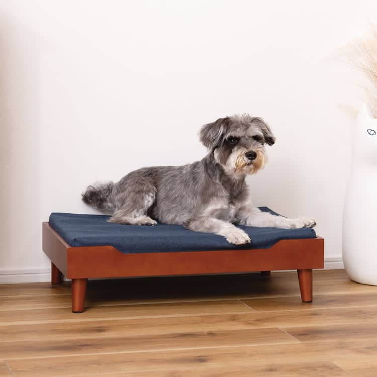 [ 期間限定 SALE クーポン 配布中 ] ペットベッド 幅60× 奥行40× 高さ15 cm ( ペットベッド ベッド 犬用 猫用 ドッグ キャット かわいい おしゃれ シンプル クッション マットレス ペット用 )